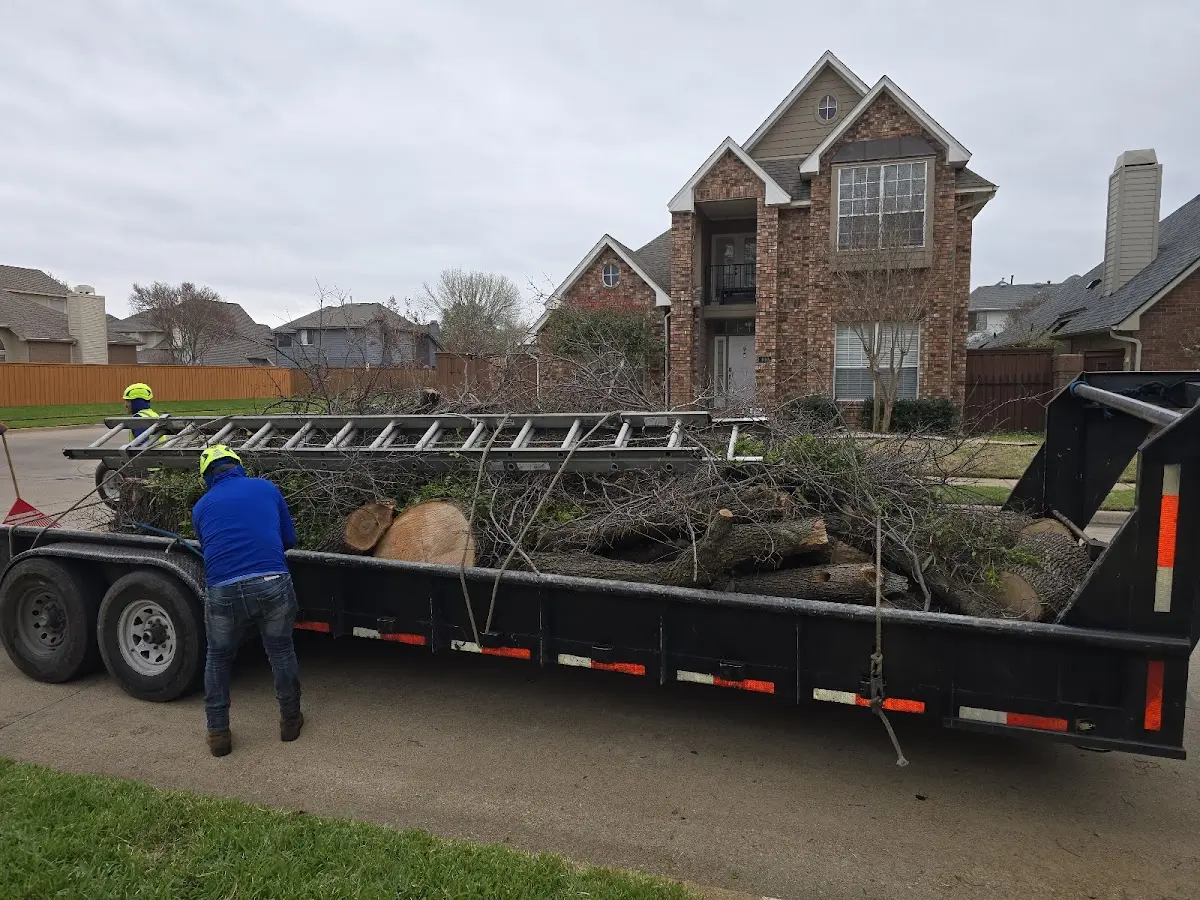 Expert Tree Pest Control with proper safety equipment in Buffalo Grove